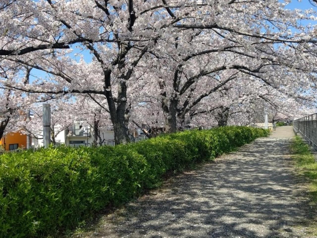 レフ関空泉佐野 by ベッセルホテルズ エクステリア 写真